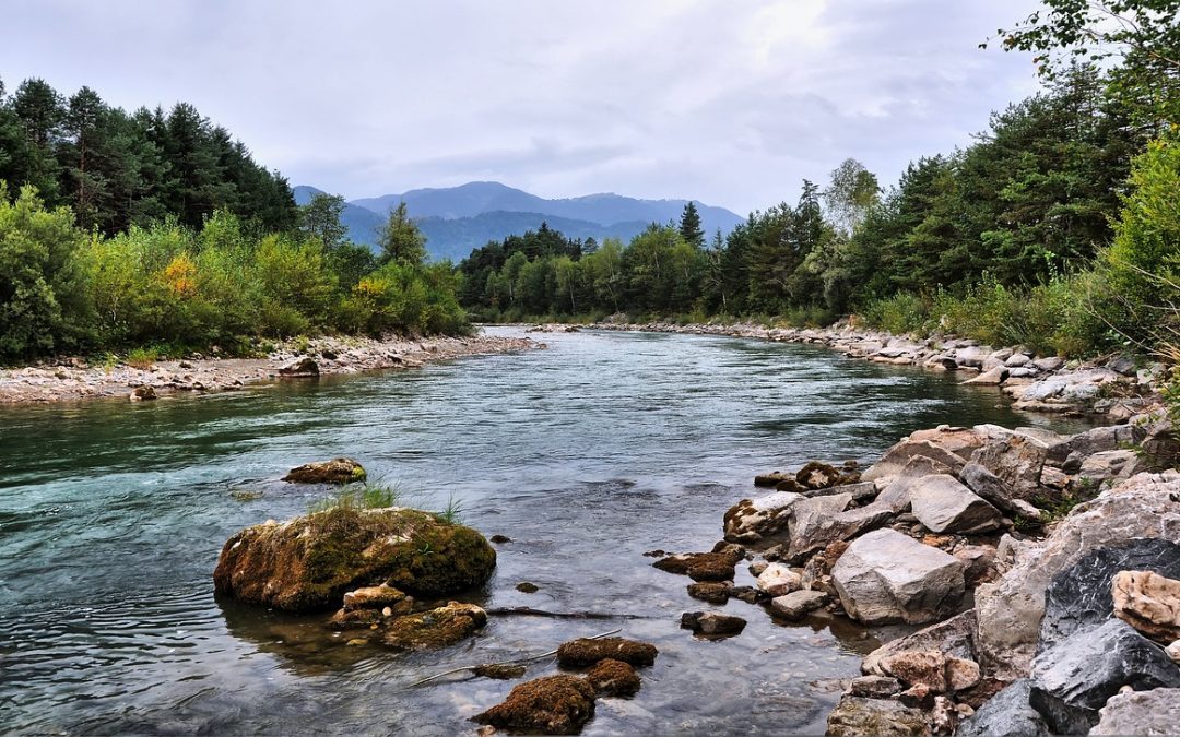 NOAA Fisheries Funding Opportunity – Fish Passage